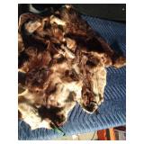 Beaver Fur Pieces