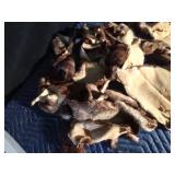 Beaver Fur Pieces