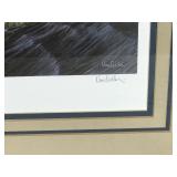 Windward Canvasback Framed, signed and Numbered Print by Ron Vangrolder #418/1500
