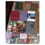 Lot of Books with Some Older Ones - Various Authors and Types