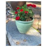 Large flowerpot with flowers