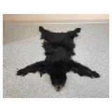 Black bear rug