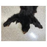 Black bear rug