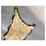 Black bear rug