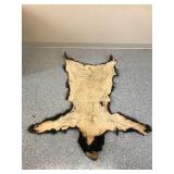 Black bear rug