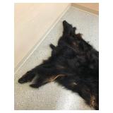 Black bear rug
