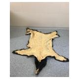 Black bear rug