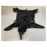 Black bear rug