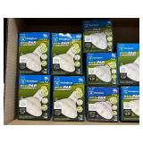 Westinghouse Flood Lights