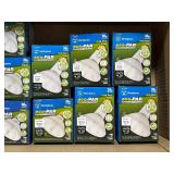 Westinghouse Flood Lights