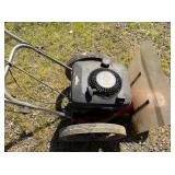 Gas-Powered Walk-Behind Weed Trimmer/Flail Mower