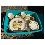 Vintage Fruit-Themed Dinnerware Set - Plates and Cups