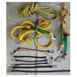 Assorted Tow Ropes, Ratchet Straps, and Bungee Cords Collection