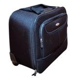 LL - Set of 2 Vintage Luggage Pieces Pierre Cardin and Samsonite