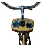 LL - Vintage Schwinn Gold Exerciser Stationary Bike