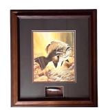 LL - Framed Fish Artwork with Signed Rapala Lure Display