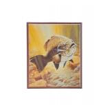 LL - Framed Fish Artwork with Signed Rapala Lure Display
