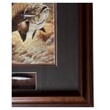 LL - Framed Fish Artwork with Signed Rapala Lure Display