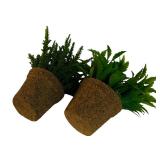 LL - Framed Floral Still Life Artwork with Faux Potted Plants Decor Set