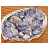BR - Shell Filled with Amethyst Geodes Collection