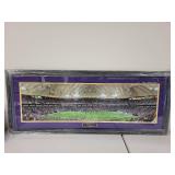 Framed Minnesota Vikings Metrodome Panoramic Photo 1982-2013