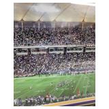 Framed Minnesota Vikings Metrodome Panoramic Photo 1982-2013