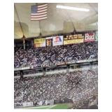 Framed Minnesota Vikings Metrodome Panoramic Photo 1982-2013