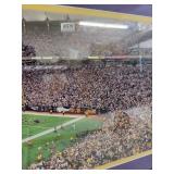 Minnesota Vikings Mall of America Field Framed Panoramic Stadium Photo