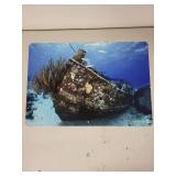 Turtleandray.com Shipwreck Underwater Photograph Print 12x8 Inches