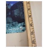 Turtleandray.com Shipwreck Underwater Photograph Print 12x8 Inches