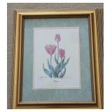 UL - Pair of Framed Tulip Art Prints Signed and Numbered Skagit Valley WA
