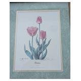 UL - Pair of Framed Tulip Art Prints Signed and Numbered Skagit Valley WA
