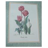 UL - Pair of Framed Tulip Art Prints Signed and Numbered Skagit Valley WA