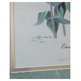 UL - Pair of Framed Tulip Art Prints Signed and Numbered Skagit Valley WA