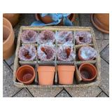 G - Collection of Terracotta Pots Assorted Sizes