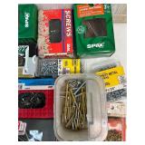 Collection of Assorted Screws, Nails, and Fasteners