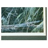 Framed Kevin Daniel Broken Silence II Wildlife Print
