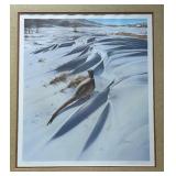 Framed Daniel Smith Signed Limited Edition Pheasant Print 425/580
