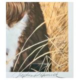 Set of 3 Framed Springer Spaniel Art Prints by Hamrick and Dvorin