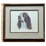 Set of 3 Framed Springer Spaniel Art Prints by Hamrick and Dvorin