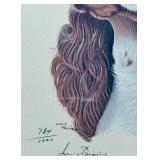 Set of 3 Framed Springer Spaniel Art Prints by Hamrick and Dvorin