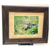 Framed Duck Photo, Knowles Collector Plate, and Stoneware Jug Collection