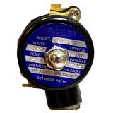 Bacoeng Brass Electric Solenoid Valve 1/2" Ac110V, Qty 2