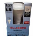 Patriot Lighting / Hillsboro LED Light Bundle