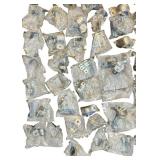 U Shaped Top Stoppers Retainers Bundle