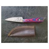 3 Stunning knives With Sheaths one Folding knife