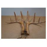 Primos Run Horns