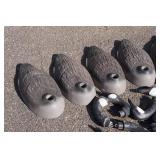 Goose Decoys