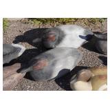 Assorted Duck Decoys