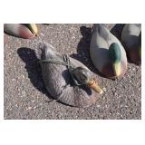 Duck Decoys